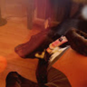 Meet your Posher, Kim